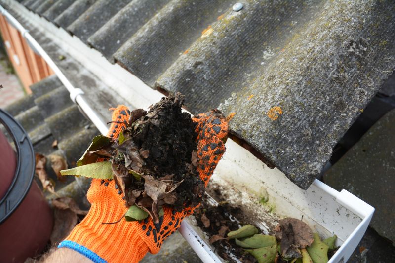 Business Gutter Cleaning in Denver, CO