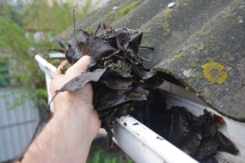 Gutter Blockage Removal in Rochester, NY