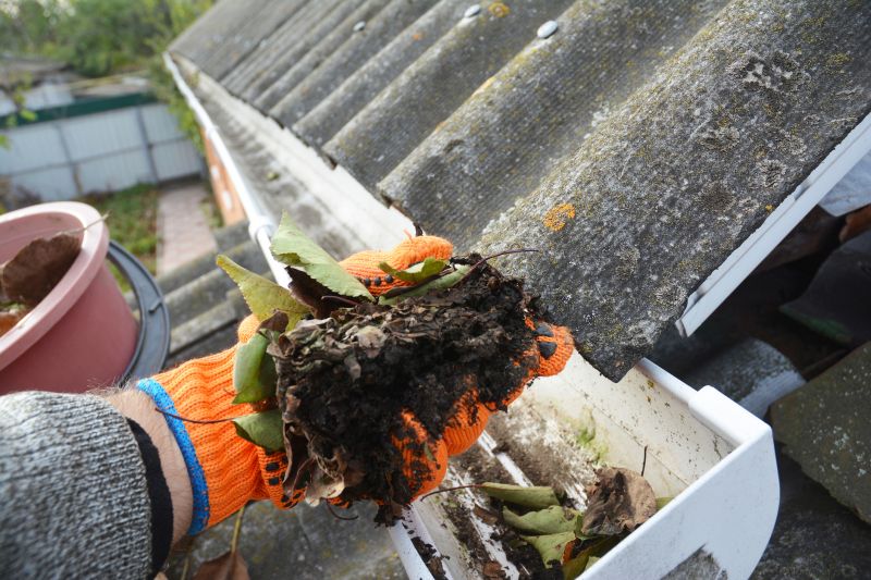 Gutter Pine Needle Removal in Westchester County, NY