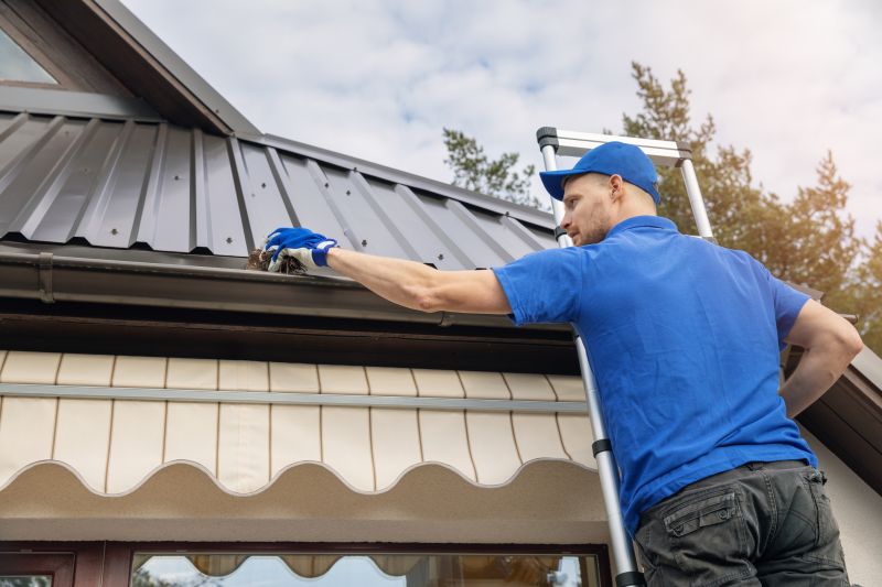 Roof Gutter Cleaning in Baltimore, MD