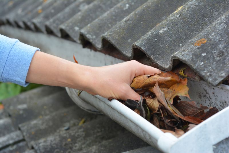Roof Gutter Cleaning in Baltimore, MD